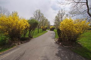 Driveway View - Country homes for sale and luxury real estate including horse farms and property in the Caledon and King City areas near Toronto